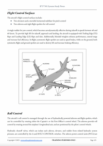 B737 Pilot Systems Flight Controls